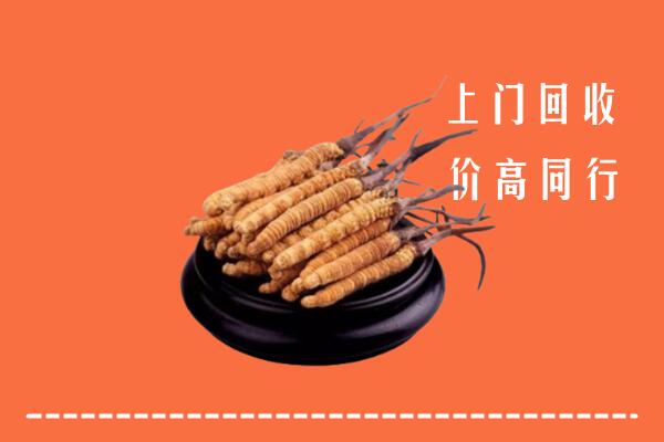 高价求购：临县回收散虫草