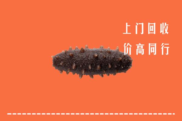 高价求购：临县回收海参