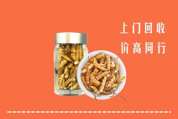 临县回收冬虫夏草