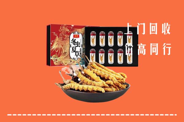临县回收虫草